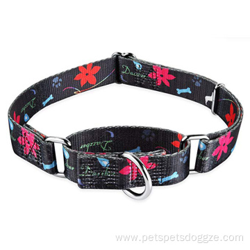 Unique Pattern Martingale Dog Collar Soft